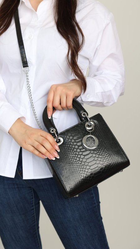 شنطة - Lady Dior كواليتي ماستر / مش مختم - شامل علبة - اسود تمساح / اكسسوار فضي