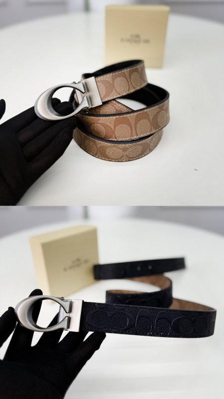 قشاط - كوتش ( ٢ لون )  / شامل علبة مقاس كبير